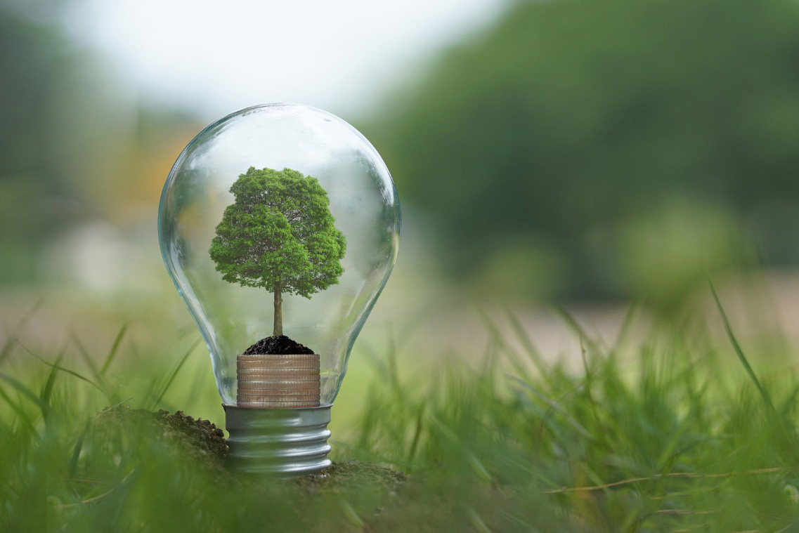 A lush green tree grows inside a transparent light bulb planted in grass, symbolizing eco-friendly innovation and sustainability against a blurred natural backdrop.