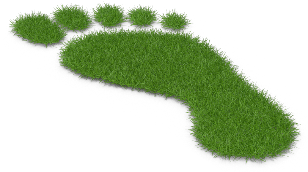 Illustration of a green footprint made entirely of grass, set against a black background. The texture conveys an eco-friendly, natural theme.