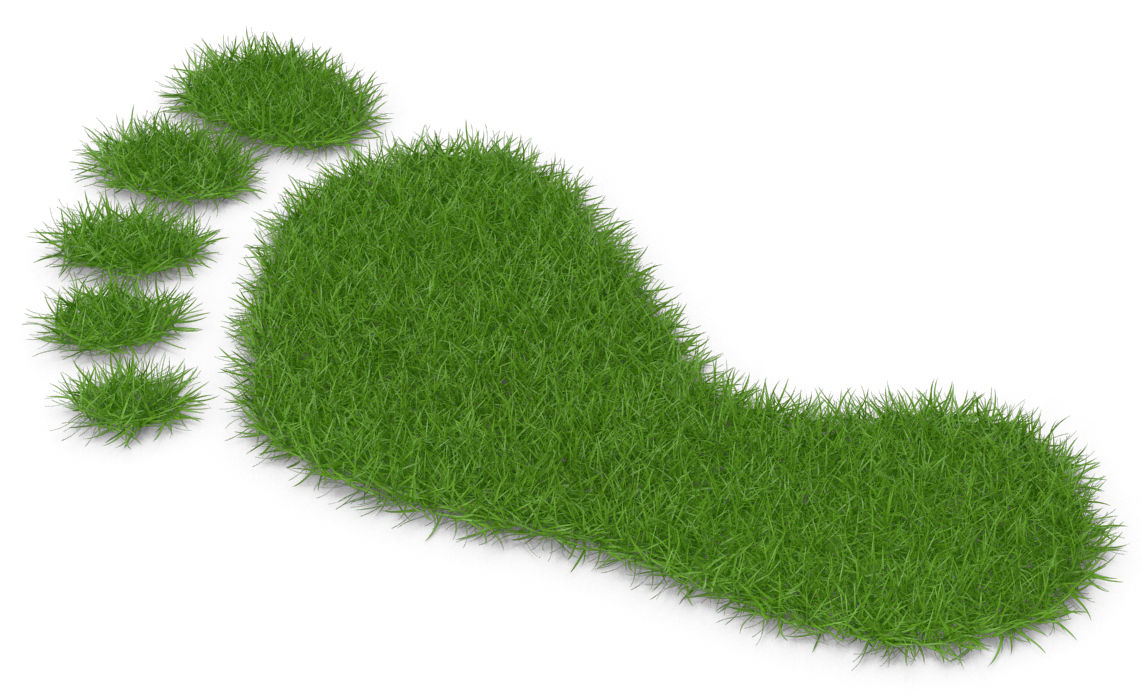 Illustration of a green footprint made entirely of grass, set against a black background. The texture conveys an eco-friendly, natural theme.