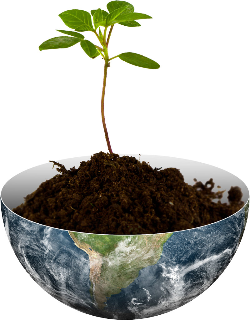 A young green plant sprouts from rich brown soil inside a half-globe resembling Earth. The image symbolizes growth and environmental conservation.