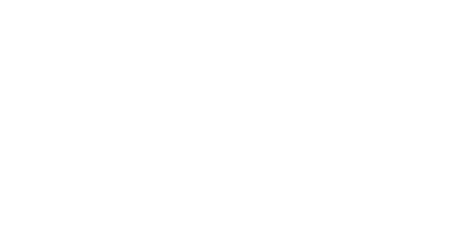brsr-logo-img-01